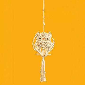 Macramé Owl Wall Hanging (Set of 2)